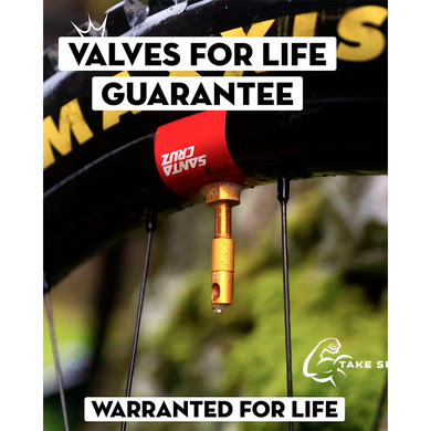 Ниппели Peaty's x Chris King Tubeless Valves, 42mm, Mango