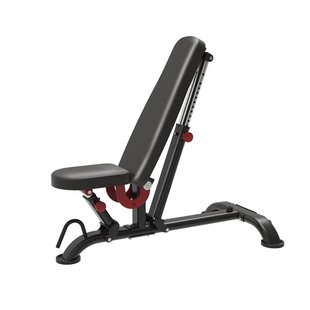 Скамейка регулируемая Iron Impulse Adjustable Bench TS212