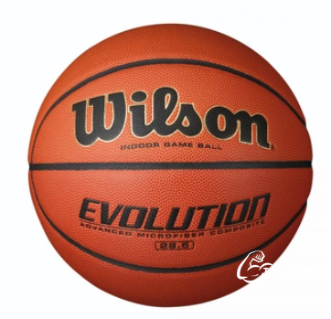 Мяч баскетбольный Wilson Evolution size 6