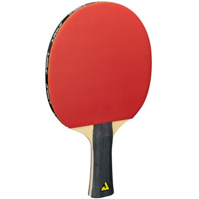 Набор для настольного тенниса Joola Quattro 4 Bats 10 Balls (54818)