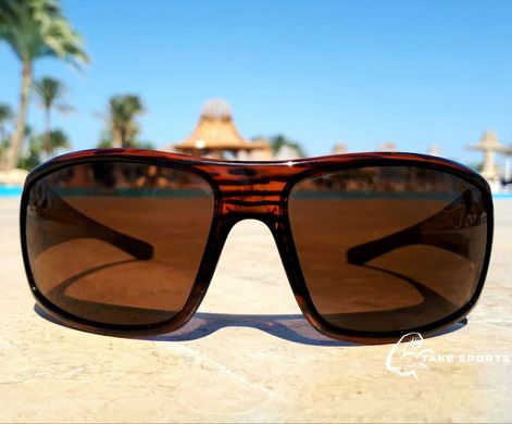 Очки поляризационные защитные 2в1 BluWater Babe Winkelman Polarized (brown) коричневые