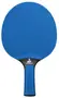 Настільний теніс