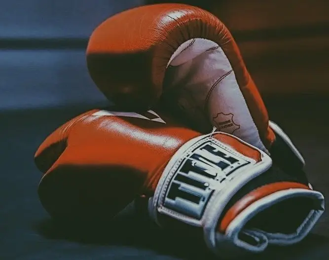 выбор перчаток для бокса купить