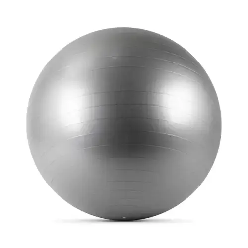 М'яч для фітнесу Generation Fitness Anti-Burst FF-65 см Silver з насосом купити недорого в Україні, фото 2