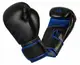 Боксерские перчатки Adidas "Hybrid 80" черно/синие | 10 унций | ADIH80 купить недорого в Украине, фото 37763