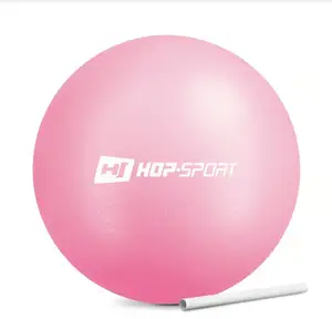 Фітбол Hop-Sport 25см рожевий купити