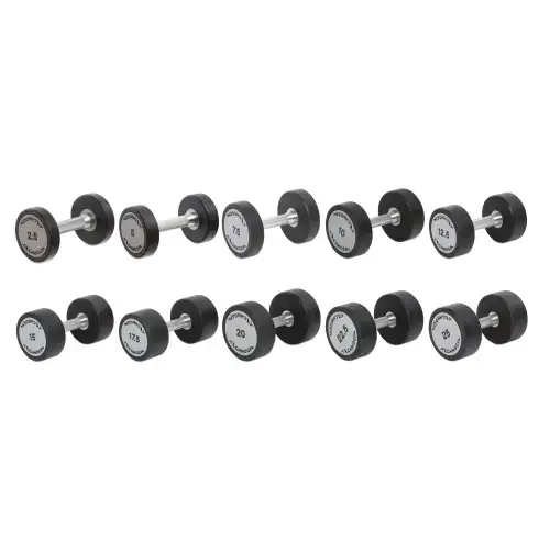 Гантельний ряд Technogym TG-2.5-25 кг 10 пар (заг. вага 275 кг) купити