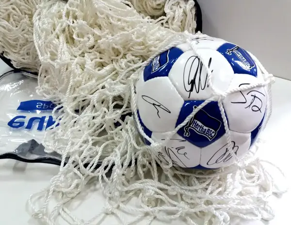 Сітка для футбольних воріт (вузлова) 3 х 2 х 1.5 м купити недорого в Україні, фото 4