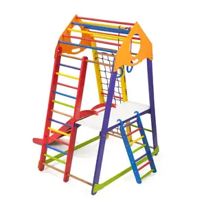 Детский спортивный комплекс BambinoWood Color Plus 2 купить