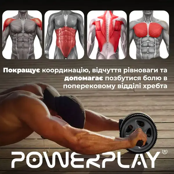 Колесо для преса PowerPlay PP-4345 Exercise Wheel (d16.5cm.) Сіре купити недорого в Україні, фото 10