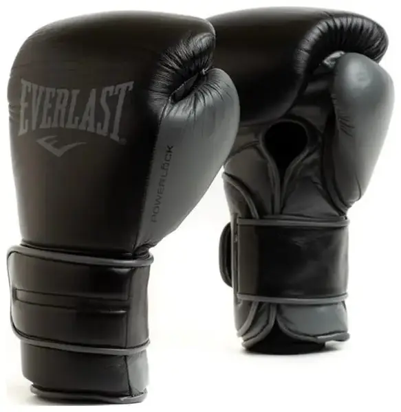 Боксерські рукавиці EVERLAST POWERLOCK 2 PRO TRAINING H&L GLOVE чорний Уні 14 унцій купити