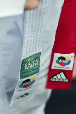 Комплект кімоно Adidas ADIZERO KO GREEN LABEL 170 (2 куртки та 1 штани) | білий | Adidas KOST20_KIT купити недорого в Україні, фото 6