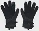 Рукавички UA Storm Insulated Gloves чорний Чол XXL купити