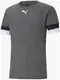 Футболка Puma teamRISE Jersey серый Муж XXL купить недорого в Украине, фото 22446