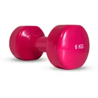Гантель вінилова Stein 6 кг/ шт / рожева купити