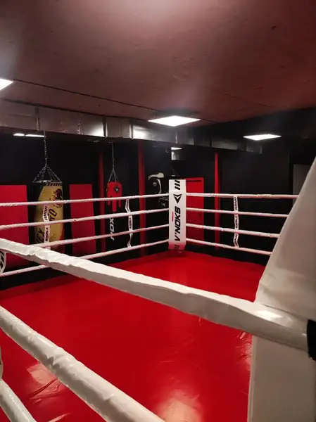 Канати V`Noks для боксерського рингу 6 м купити недорого в Україні, фото 4