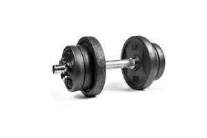 Металева набірна гантель RN-Sport 11 кг (RN_QTR11) купити