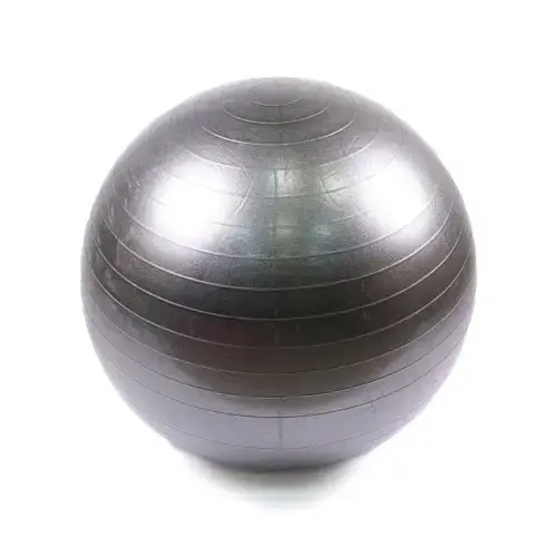 М'яч для фітнесу Generation Fitness Anti-Burst FF-75 см Silver з насосом купити