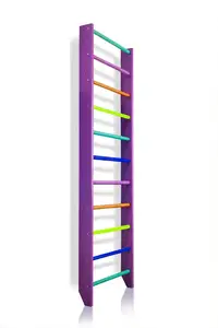 Шведская стенка – 0-220 (purple) купить