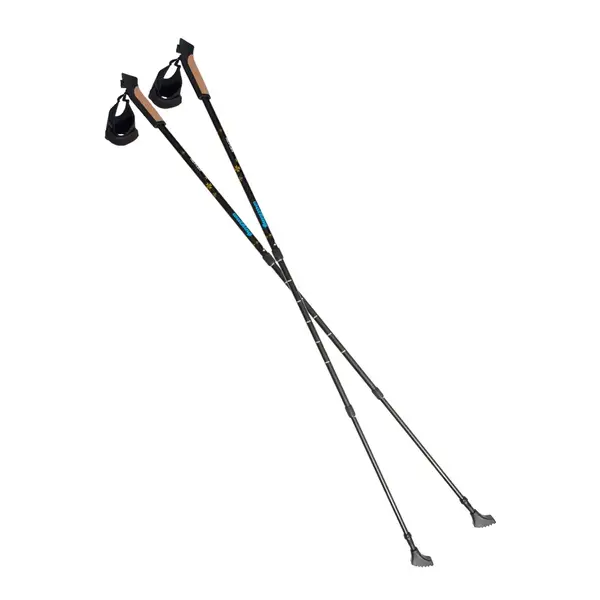 Палки для скандинавської ходьби RE:FLEX NW 301 чорні купити недорого в Україні, фото 5