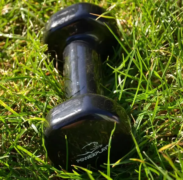 Гантели виниловые PowerPlay 2*1,5 кг PP_4121 купить недорого в Украине, фото 9