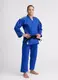 Синее лицензионное кимоно для дзюдо IPPON GEAR LEGEND 2, IJF (approved 2023) Women (для женщин), 165см купить недорого в Украине, фото 19964