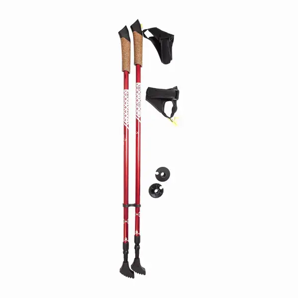 Палки для скандинавской ходьбы RE:FLEX NW 202 красные купить