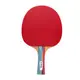 Ракетка для настольного тенниса Gewo Smash FL (186000001) купить недорого в Украине, фото 21559