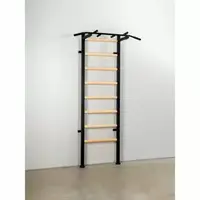 Шведська стінка Ладас СТ Power Wood чорний + БЕЗКОШТОВНА ДОСТАВКА Шведська стінка Ладас СТ Power Wood чорний + БЕЗКОШТОВНА ДОСТАВКА купити