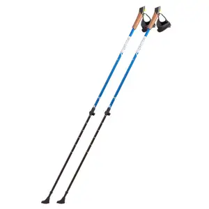 Палки для скандинавської ходьби RE:FLEX NW 211 сині купити