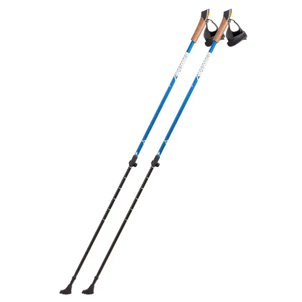 Палки для скандинавської ходьби RE:FLEX NW 211 сині купити