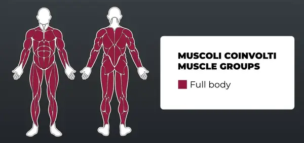 Кроссовер Toorx CSX-3000 (CSX-3000) купить недорого в Украине, фото 8