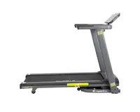 Беговая дорожка электрическая inSPORTline inCondi T30i купить