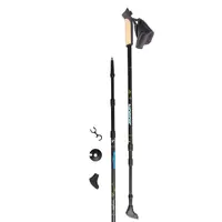 Палки для скандинавської ходьби RE:FLEX NW 301 чорні купити