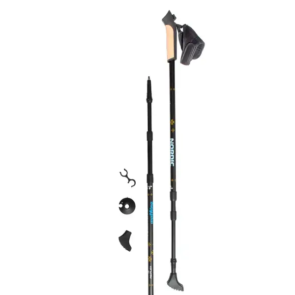 Палки для скандинавської ходьби RE:FLEX NW 301 чорні купити