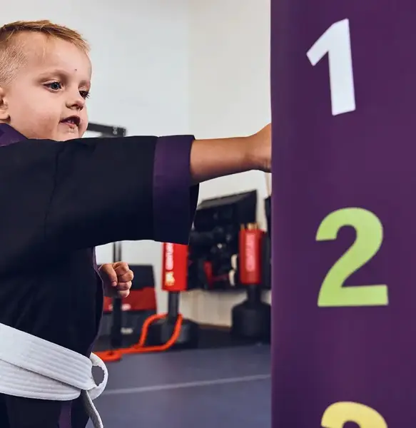 Мешок боксерский напольный CENTURY Little Dragon Kid Kick Wavemaster фиолетовый (101531) купить недорого в Украине, фото 4