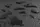 8f2492cea363e39b0a463ab6441e36bd