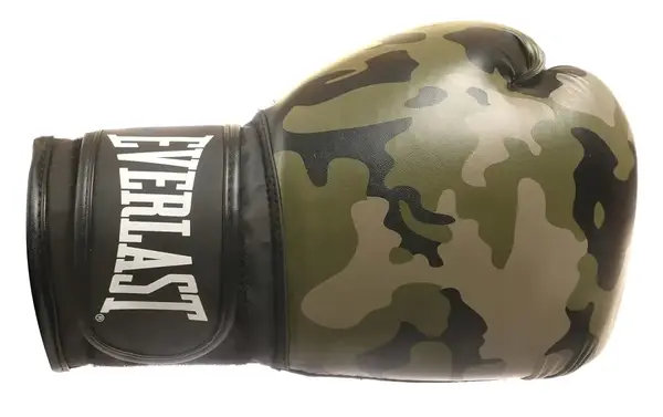 Боксерські рукавиці Everlast SPARK TRAINING GLOVE чорний, коричневий Уні 16 унцій купити недорого в Україні, фото 6