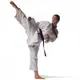 Кімоно для карате RevoFlex білий | ADIDAS K190SK 150 купити