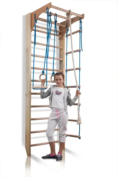 Дитячий спортивний куточок «Комбі-2-240» купити недорого в Україні, фото 2