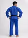 Синее лицензионное кимоно для дзюдо IPPON GEAR LEGEND 2, IJF (approved 2023) Women (для женщин), 170см купить