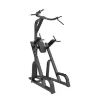 Комбинированный станок Iron Impulse CHIN UP/DIP &amp; KNEE UP TB80 Series (Oval Tube) купить