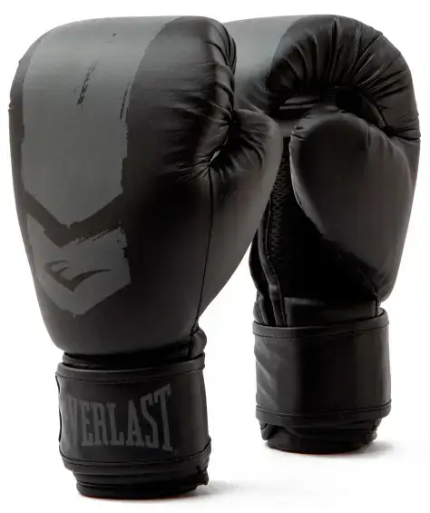 Боксерські рукавиці Everlast PROSPECT 2 BOXING GLOVE чорний, сірий Уні 8 унцій купити