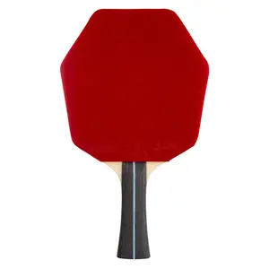 Ракетка для настільного тенісу Banda by Stiga Allround Future Cybershape System FL (1650-0201-35) купити