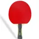 Ракетка для настільного тенісу Gewo Champ FL (809900001) купити недорого в Україні, фото 21562