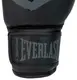 Боксерські рукавиці Everlast PROSPECT 2 BOXING GLOVE чорний, сірий Уні 6 унцій купити