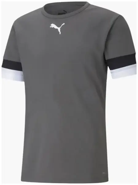 Футболка Puma teamRISE Jersey сірий Чол S купити