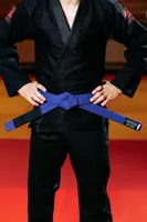 Фиолетовый пояс для джиу джитса ТМ KINTAYO, 170 рост купить