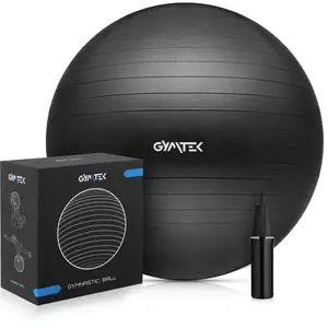 Фитбол Gymtek 65см черный + насос купить