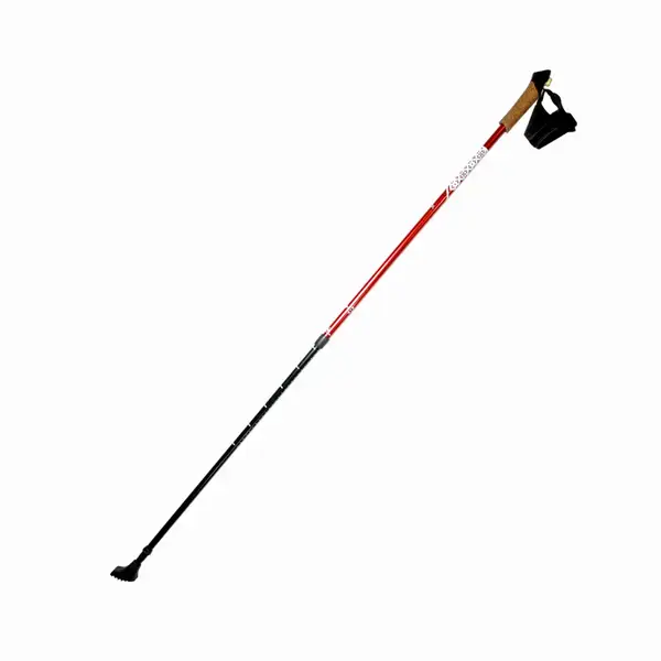 Палки для скандинавской ходьбы RE:FLEX NW 202 красные купить недорого в Украине, фото 3